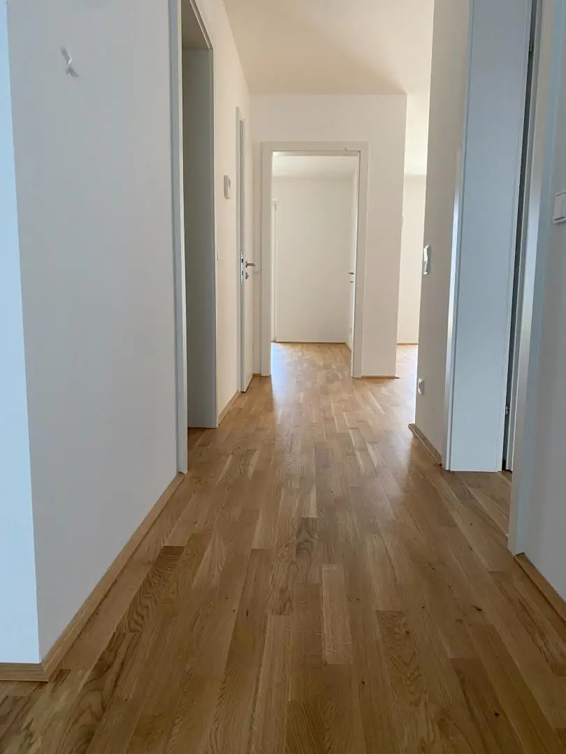 Gang/Eingangsbereich