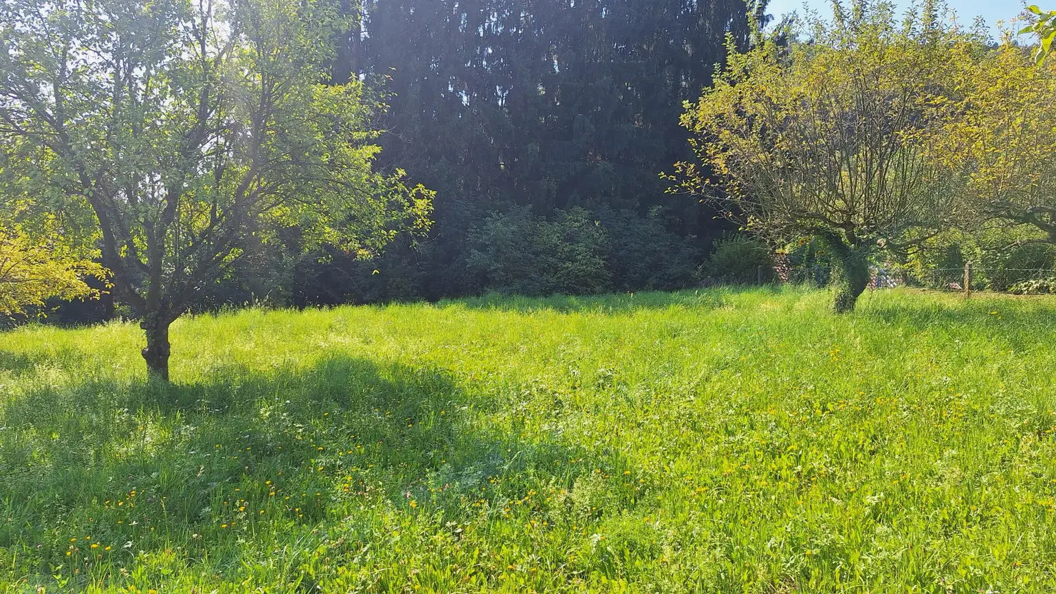"Investieren Sie in Lebensqualität – 1.500 m² im Rasental!"