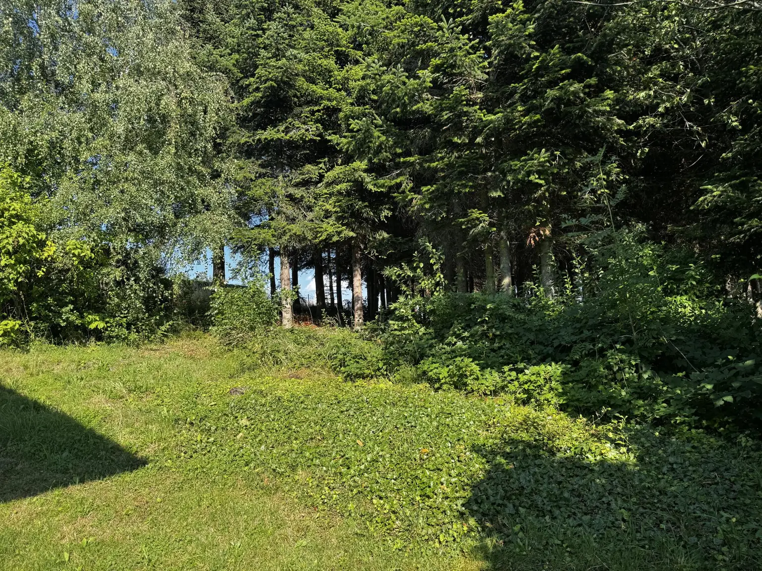 Einzigartige Liegenschaft mit Wald und Panorama