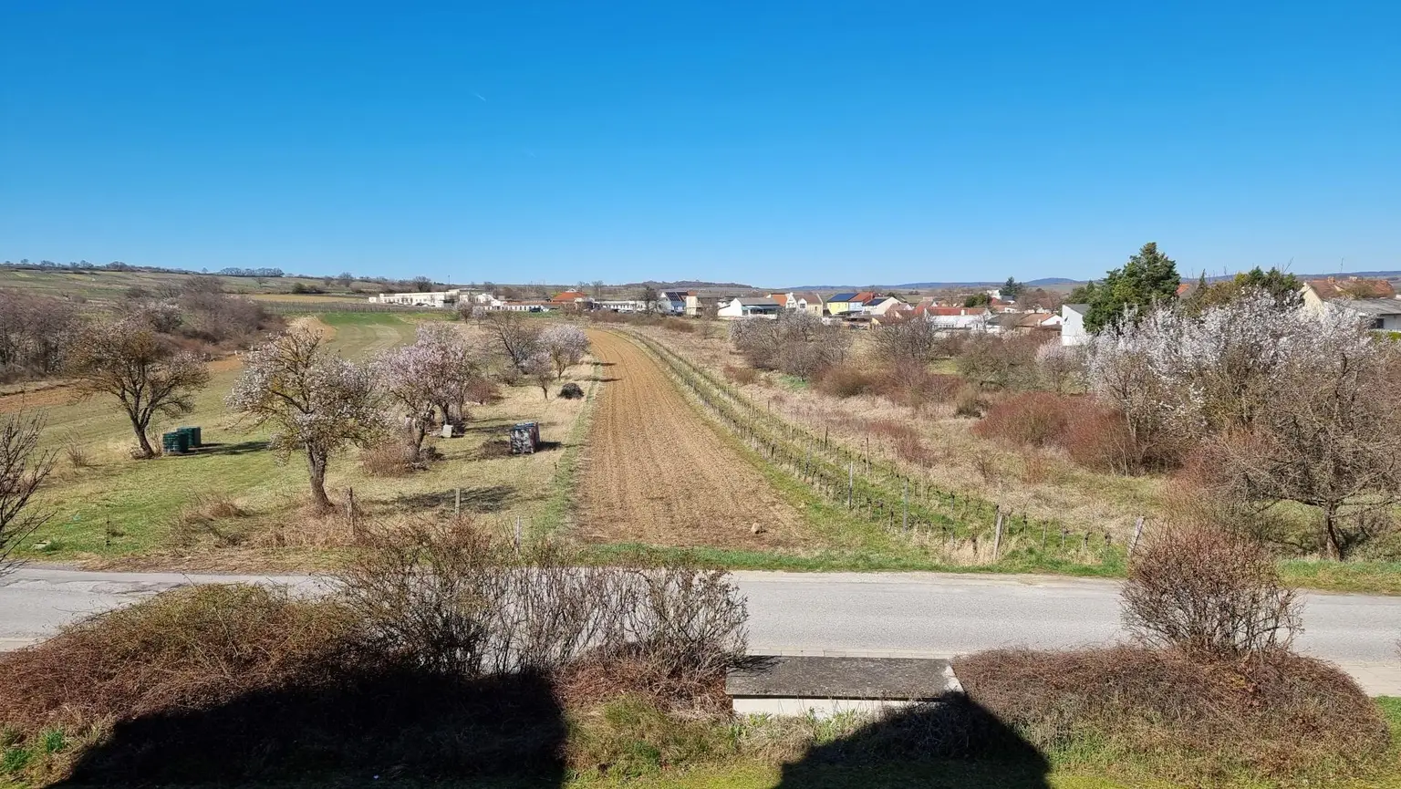 Blick in die Weinberge