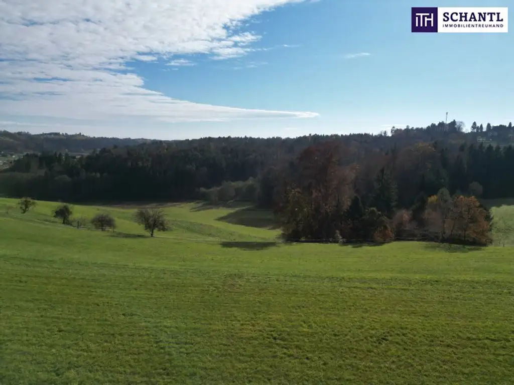 SPITZEN Grundstück vollerschlossen mit hoher Bebauungsdichte - ca. 330m² Wohnfläche in Oisnitz / St. Josef - Nähe Lannach