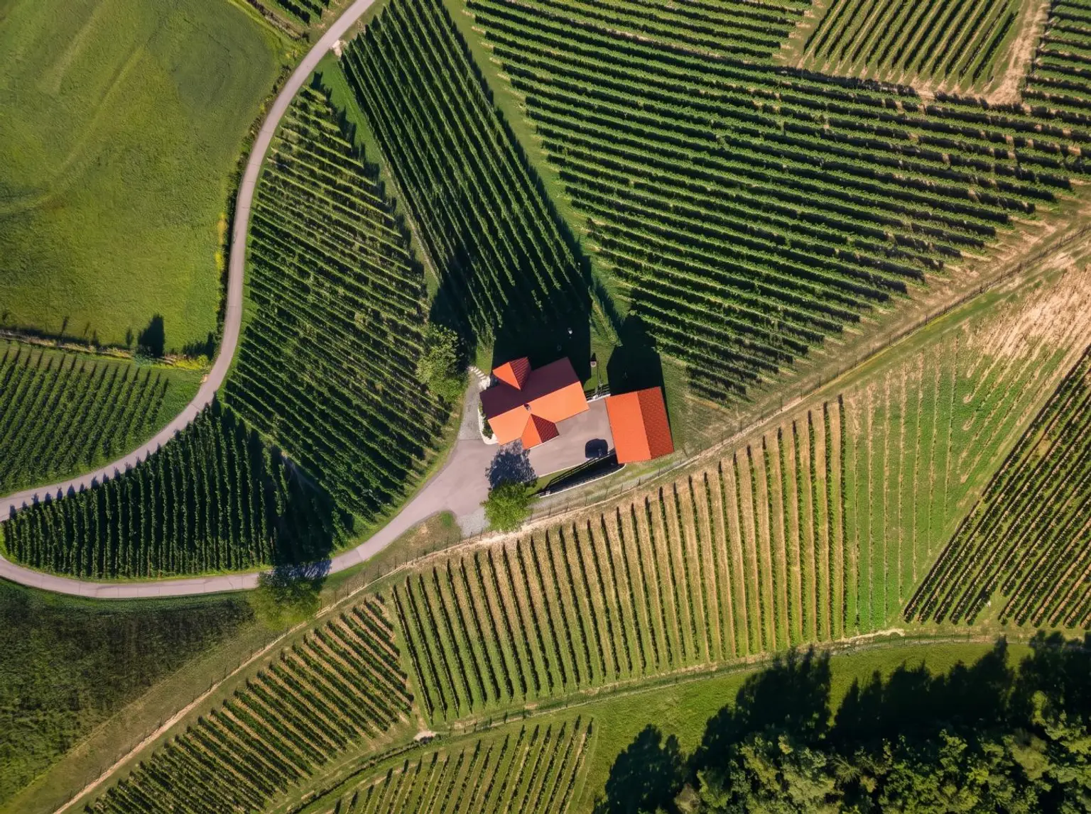 Traumhaus aus der Vogelperspektive