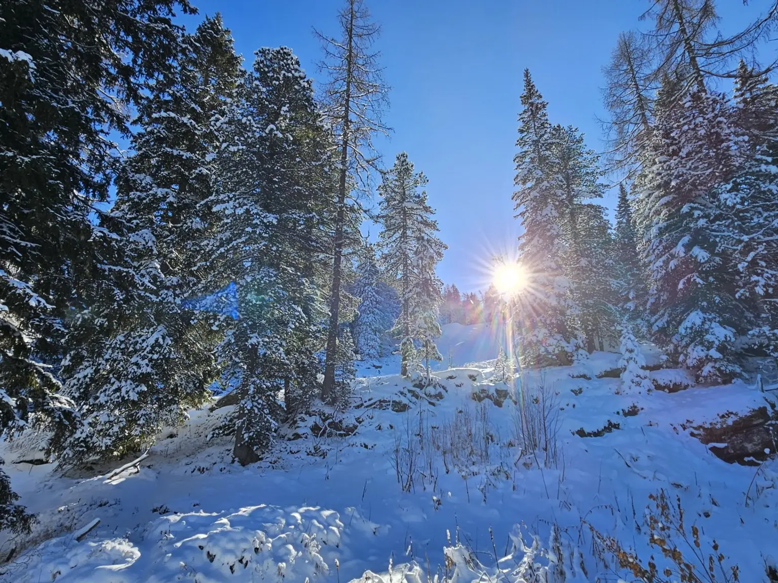 Ski-in & Ski-out - auf zur Märchenwaldpiste