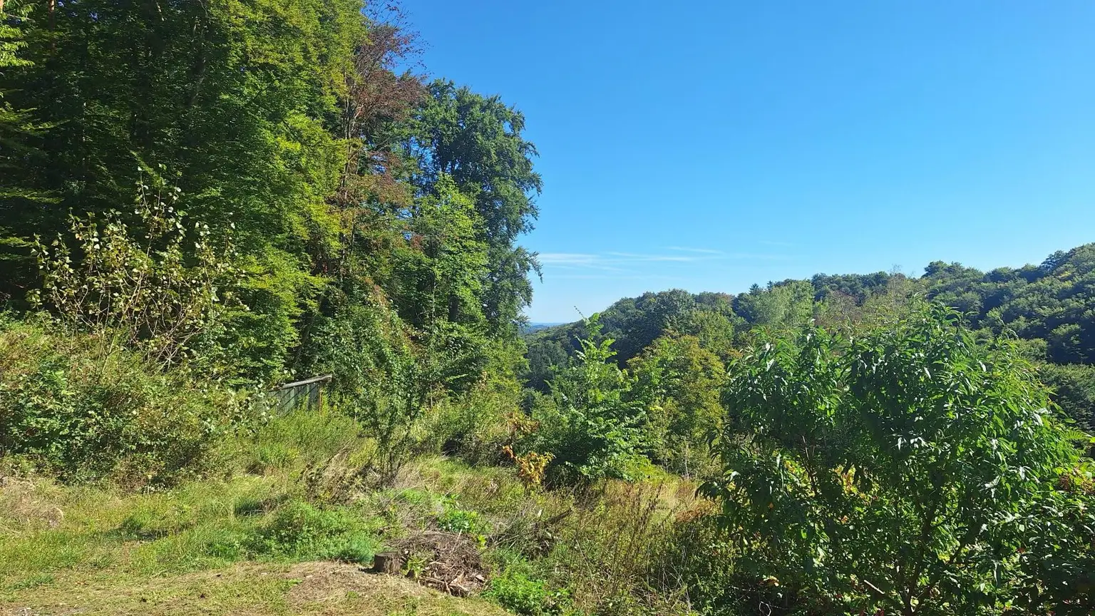 Traumhaftes Baugrundstück in Kranachberg bei Gamlitz – Ihr Platz an der Sonne