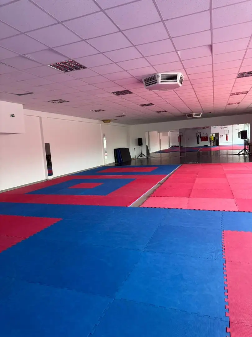 Renditestarkes Einkaufszentrum in Top-Innenstadtlage von Westungarn