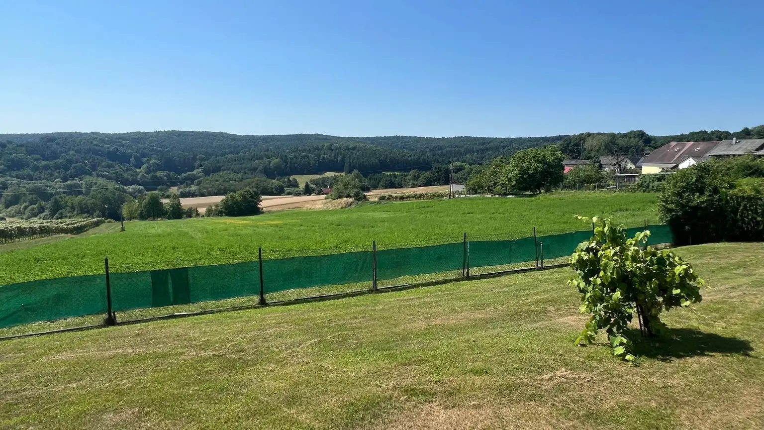 Ausblick