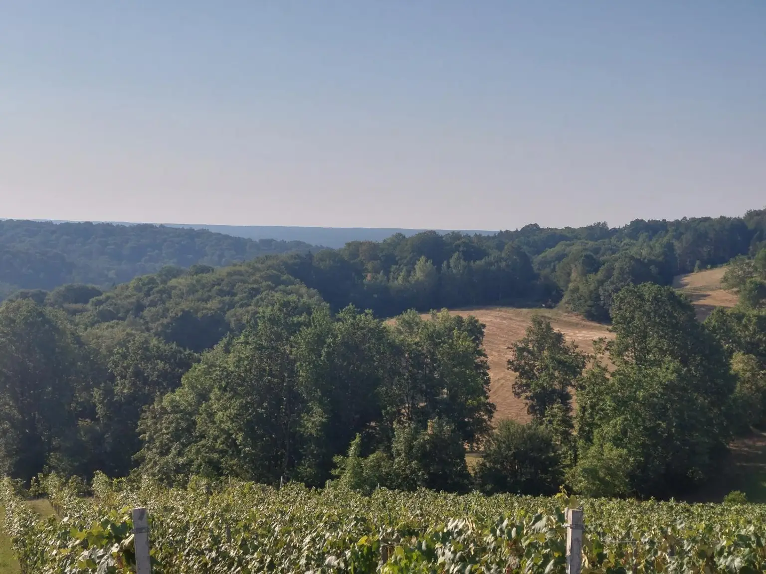 fantastischer Weitblick auf den eigene Weingarten,