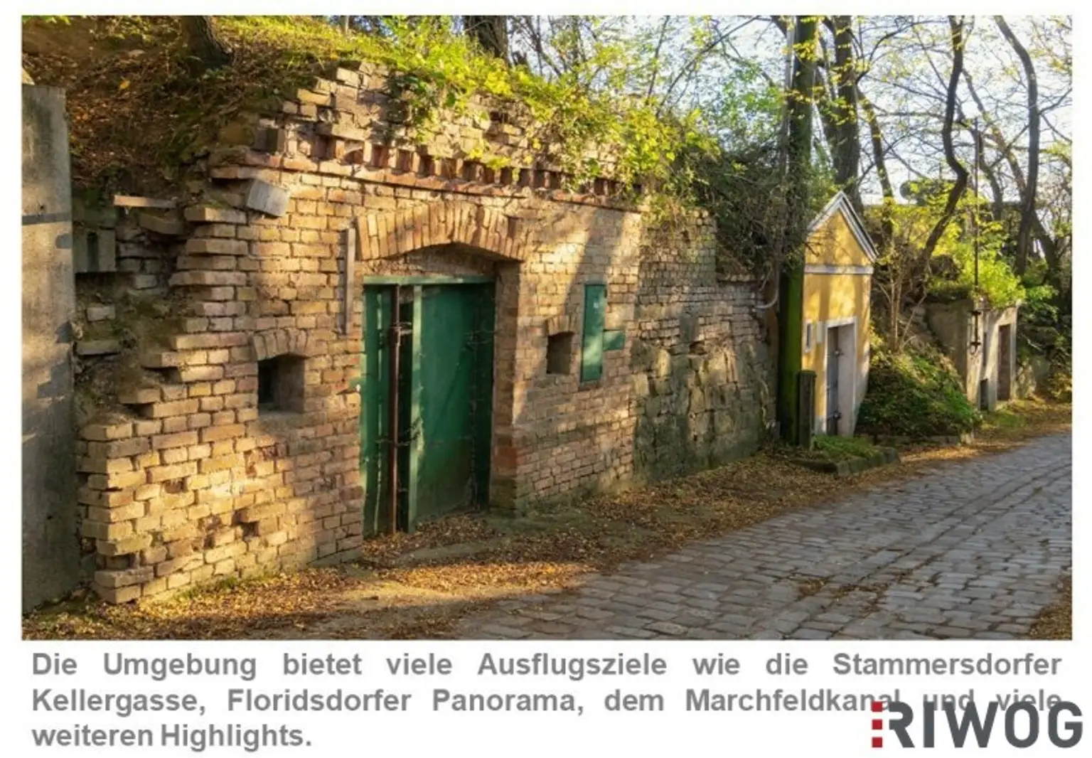 Maximilian-Reich-Weg 4