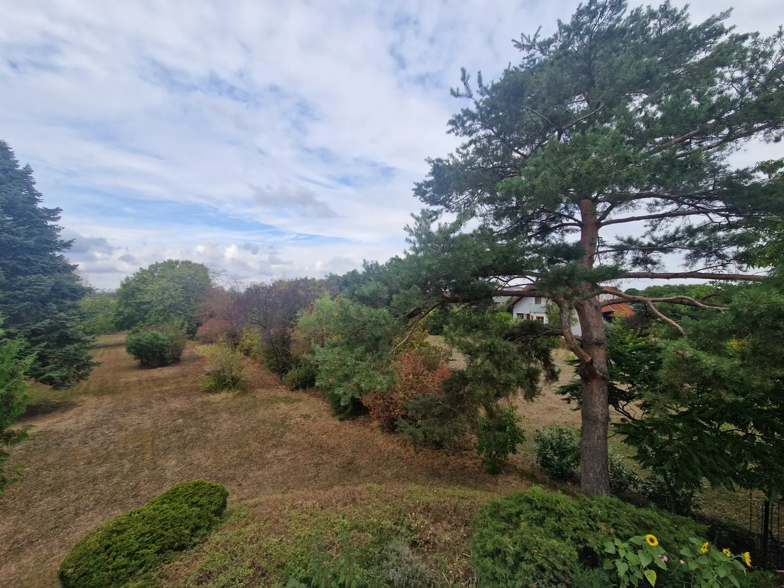 Ansicht21