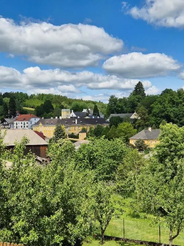 Schlossblick