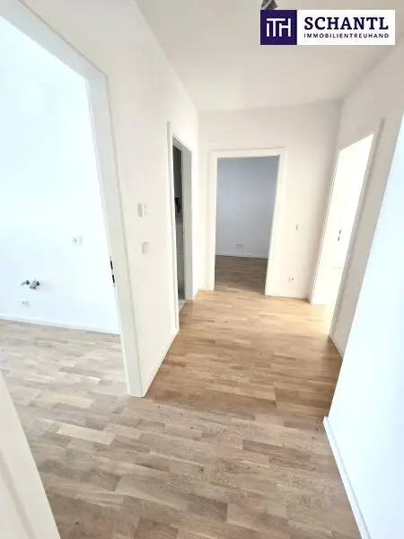 Hier rauscht kein Verkehr, nur die Blätter im Hof! TOP saniert + Hofseitige Terrasse + Viel Grün + Viel Lebensqualität + Absolute Ruhelage + Ideale Raumaufteilung! Besser geht´s nicht! Nicht lange zögern...