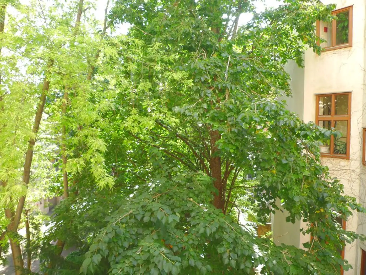 Erstbezug! Hippe City-Wohnung für Singles im 6. Bezirk