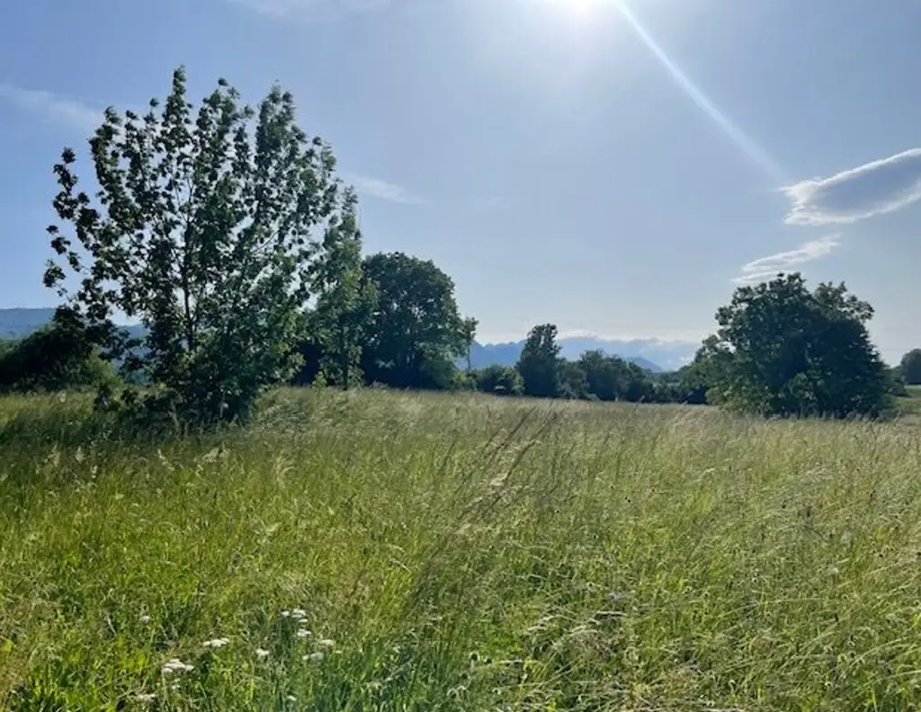Großzügiges Grundstück im Rosental!