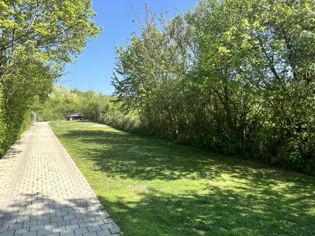 Moderne, zentrumsnahe Familienvilla mit großem Garten in gefragter Grünruhelage (!)