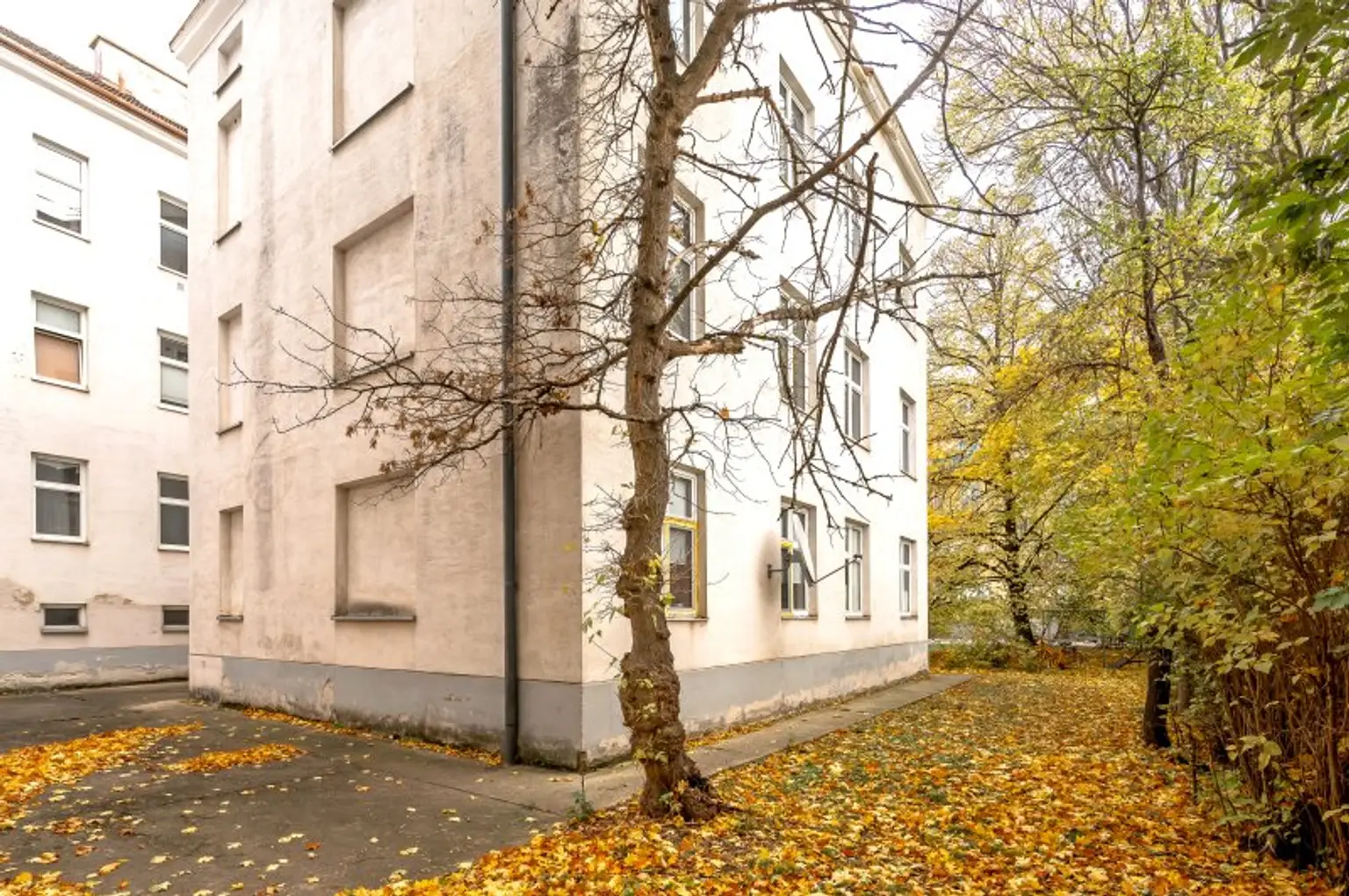 ++Fasangarten++ Altbautraum zum Selbstgestalten – 2-Zimmer-Wohnung mit Entwicklungspotenzial