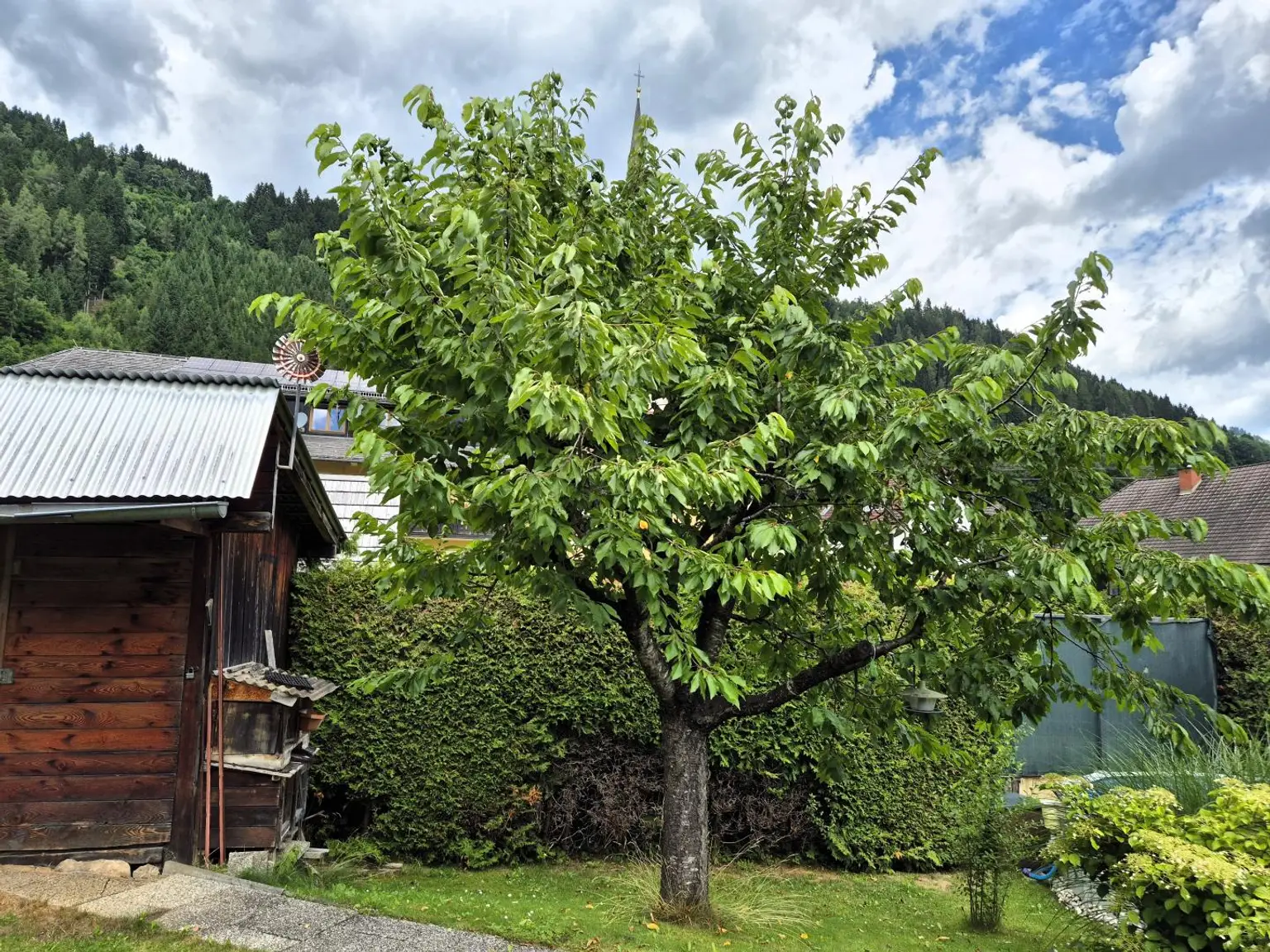 Doppelhaus in Schöder im Bezirk Murau