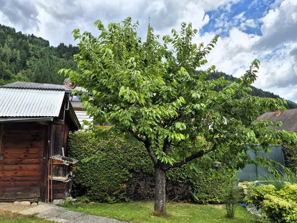 Doppelhaus in Schöder im Bezirk Murau