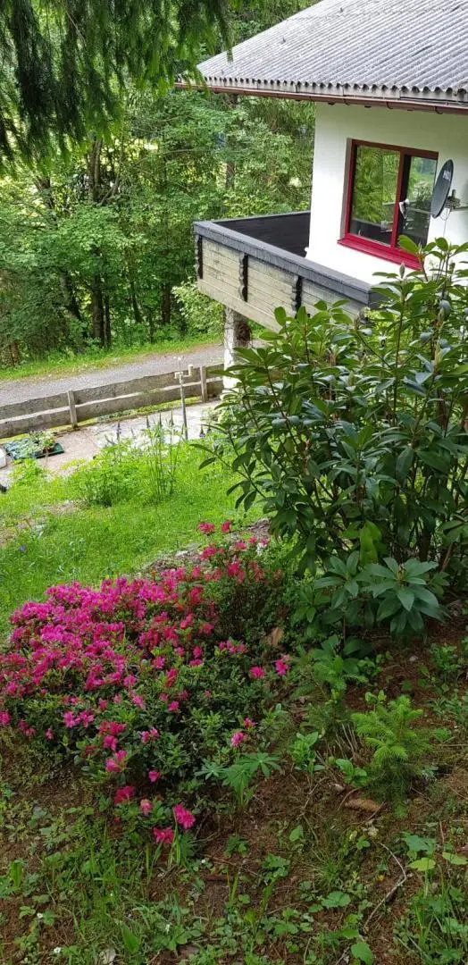 Die Umgebung