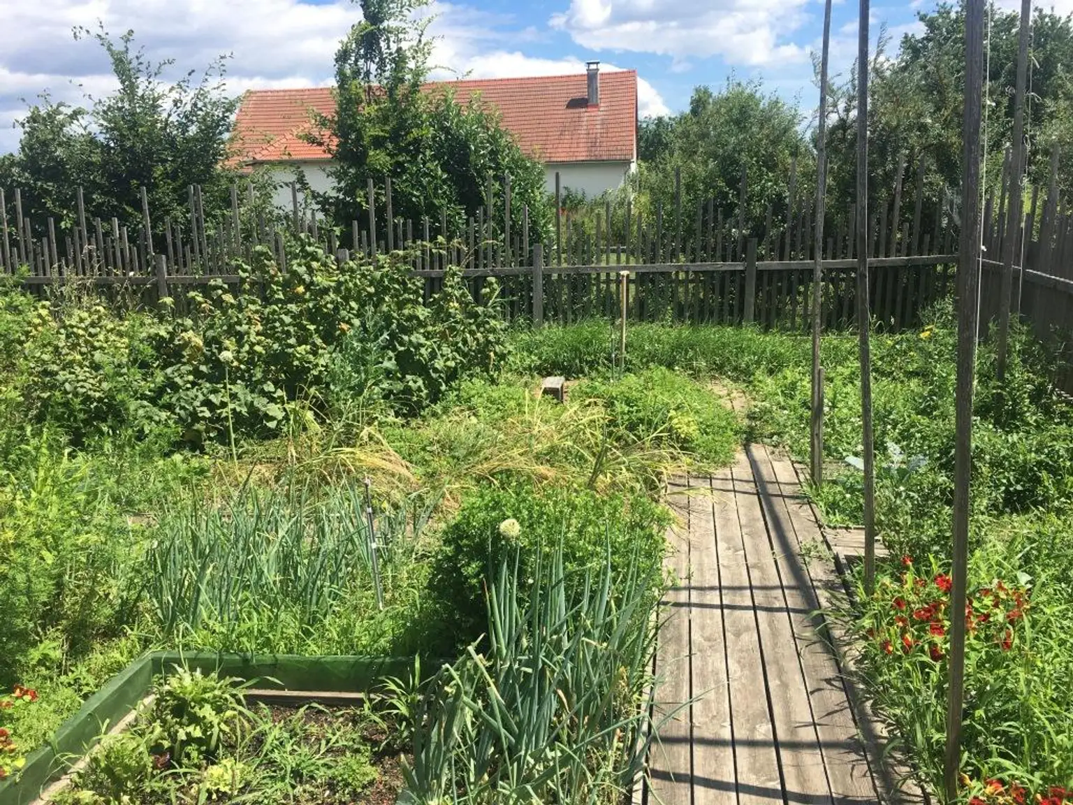 Garten
