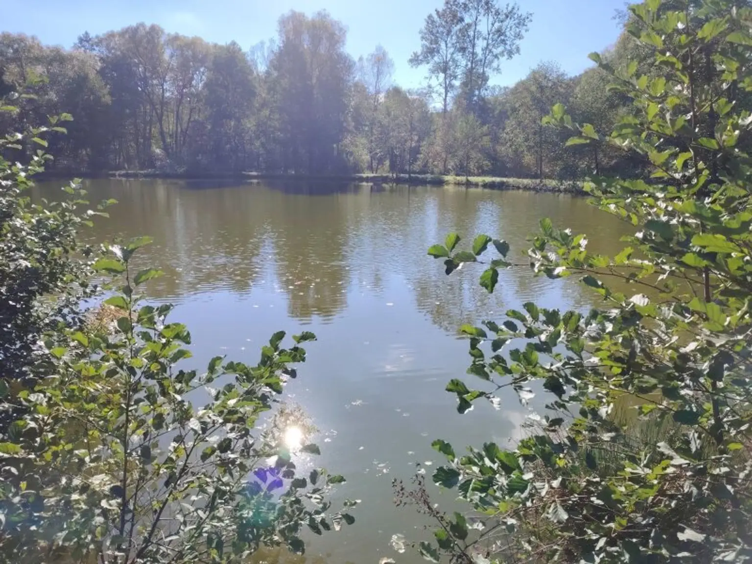 Naturidylle mit Fischteichanlage nahe Stadtschlaining