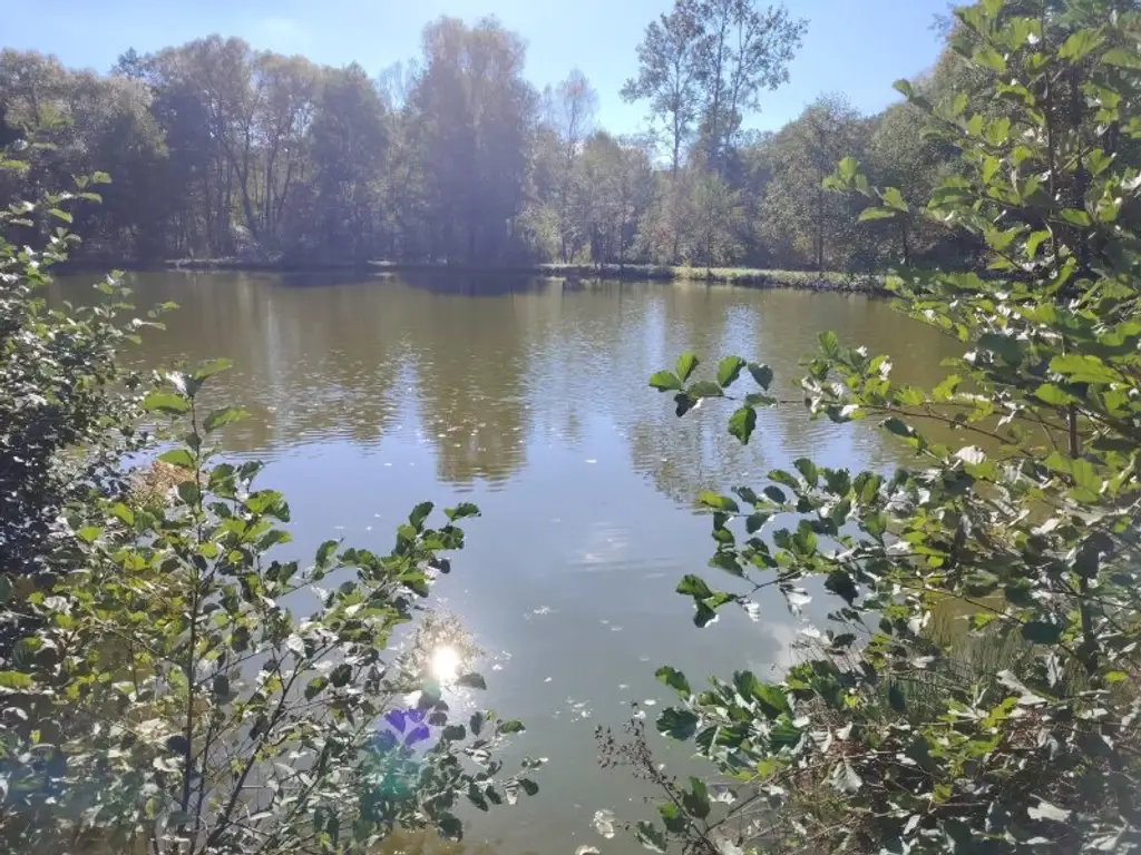 Naturidylle mit Fischteichanlage nahe Stadtschlaining
