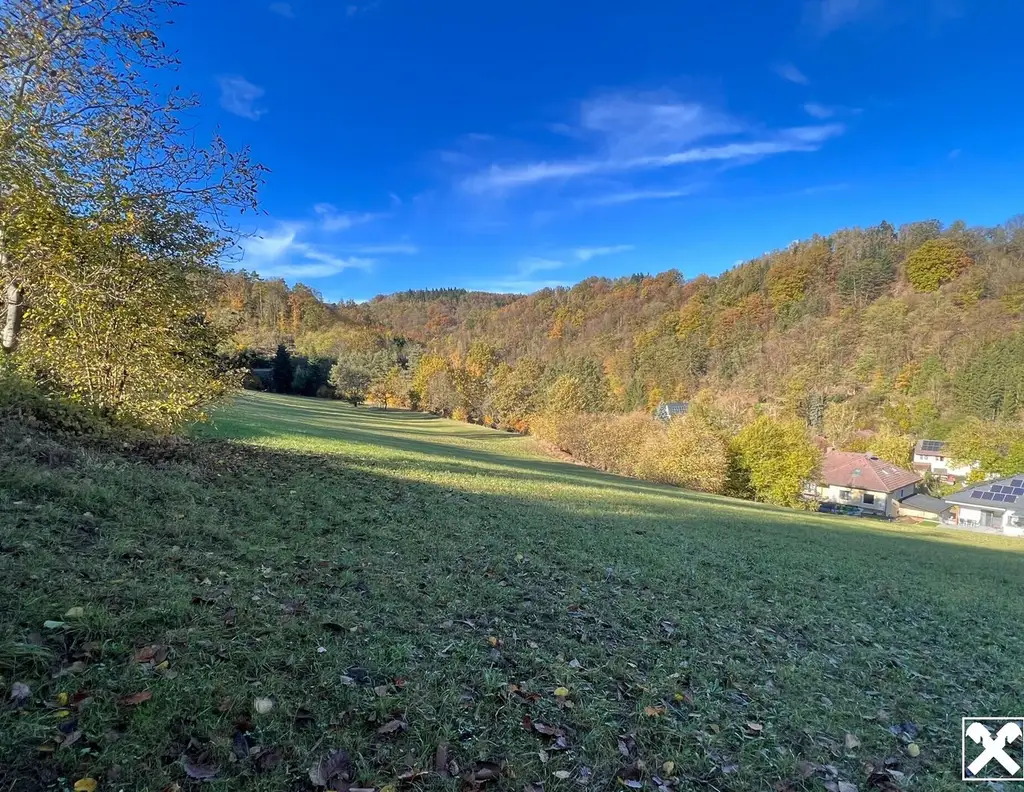 Großes an Bauland grenzendes Grünland-Grundstück bei Emmersdorf!