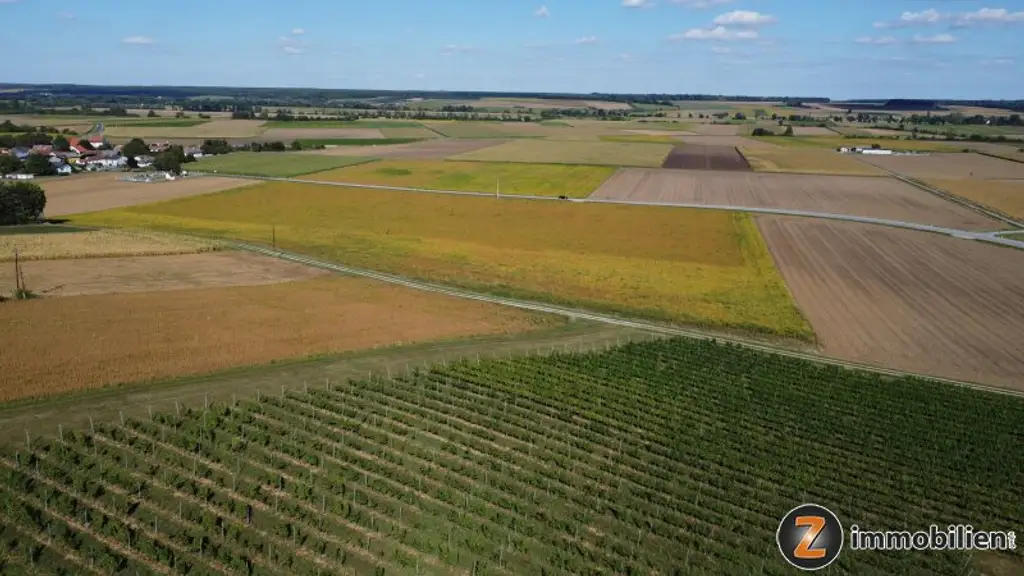 Weingut mit ca. 4 ha Weingärten im Südburgenland!