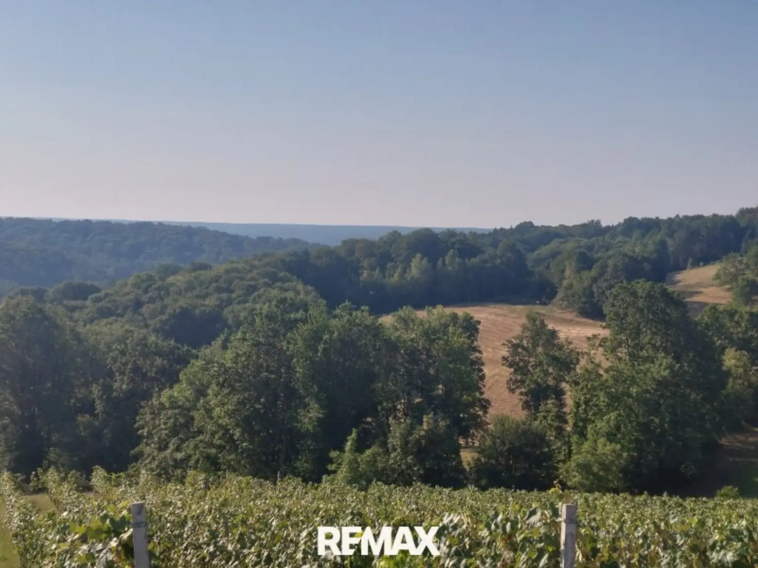 fantastischer Weitblick auf den eigene Weingarten, Wald und Wiesen