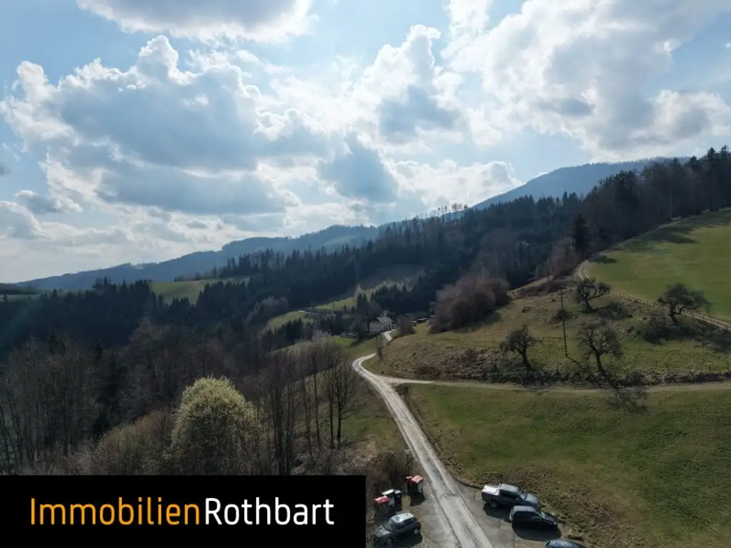 Wald mit Wiese und Zinshaus!