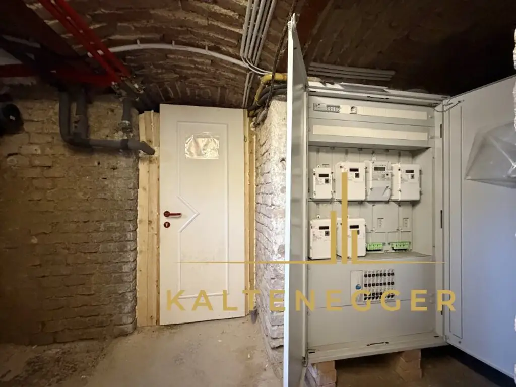 Zinshaus mit signifikantem Entwicklungspotenzial und bestandsfreien Flächen