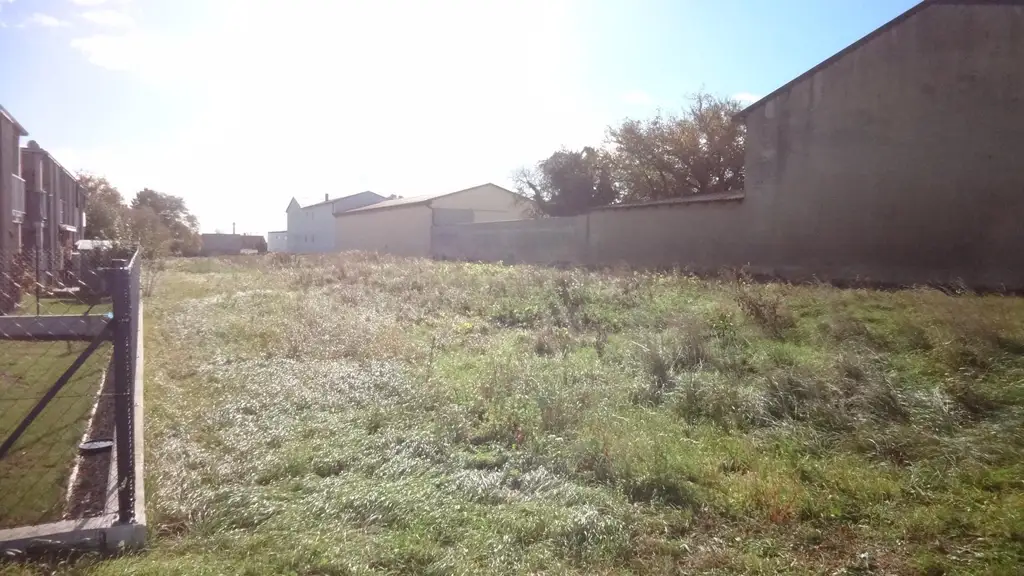 Aufgeschlossenes Grundstück in bester Lage am Ortsrand von Gols!