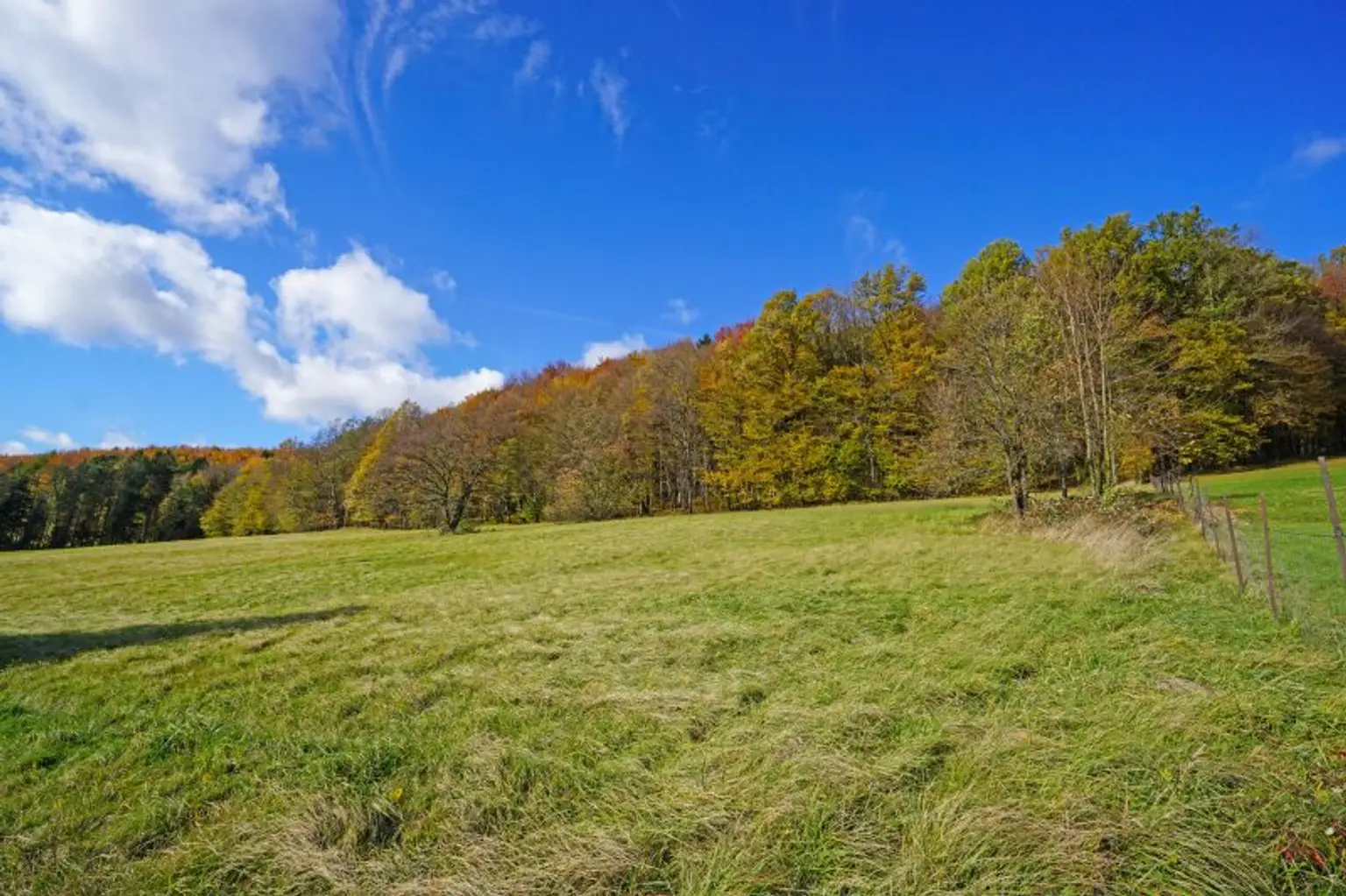Großzügiges, naturnahes Grundstück in sonniger Ruhelage und mit herrlicher Aussicht