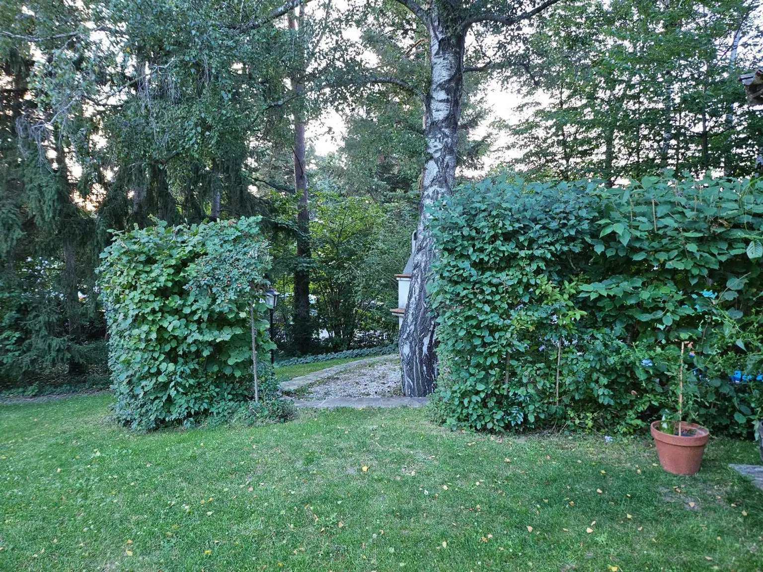 Baugrundstück 20mx30m!  WOHLFÜHL- Grundstück! RUHELAGE !