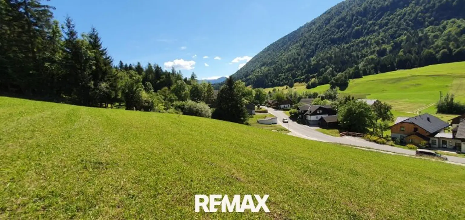 Blick Richtung Ennstal