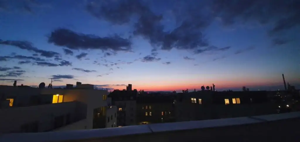 Einzigartige Dachgeschosswohnung mit Traum-Ausblick auf den Kahlenberg!