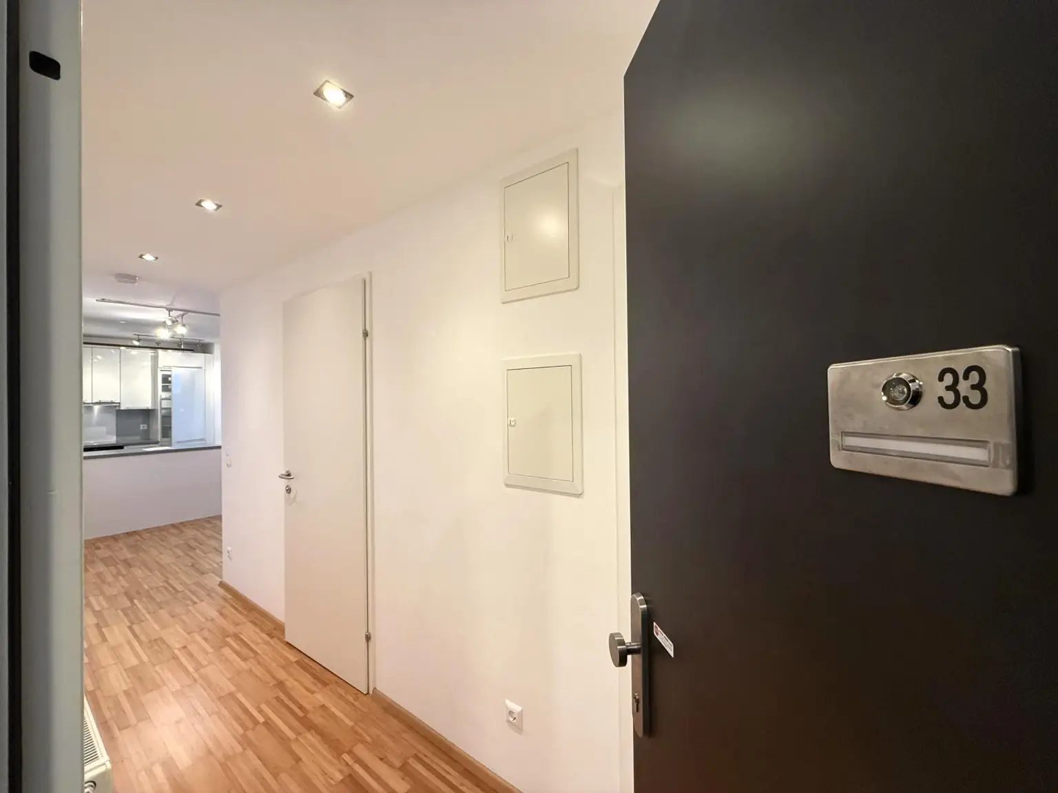 Wohnungseingang / Deckenspots