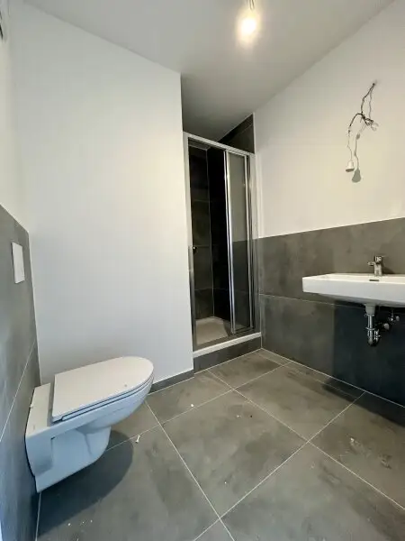 Neues Zuhause in Wilfersdorf bei Tulln : Erstbezug, 144,79m², 2 Stellplätze, Garten