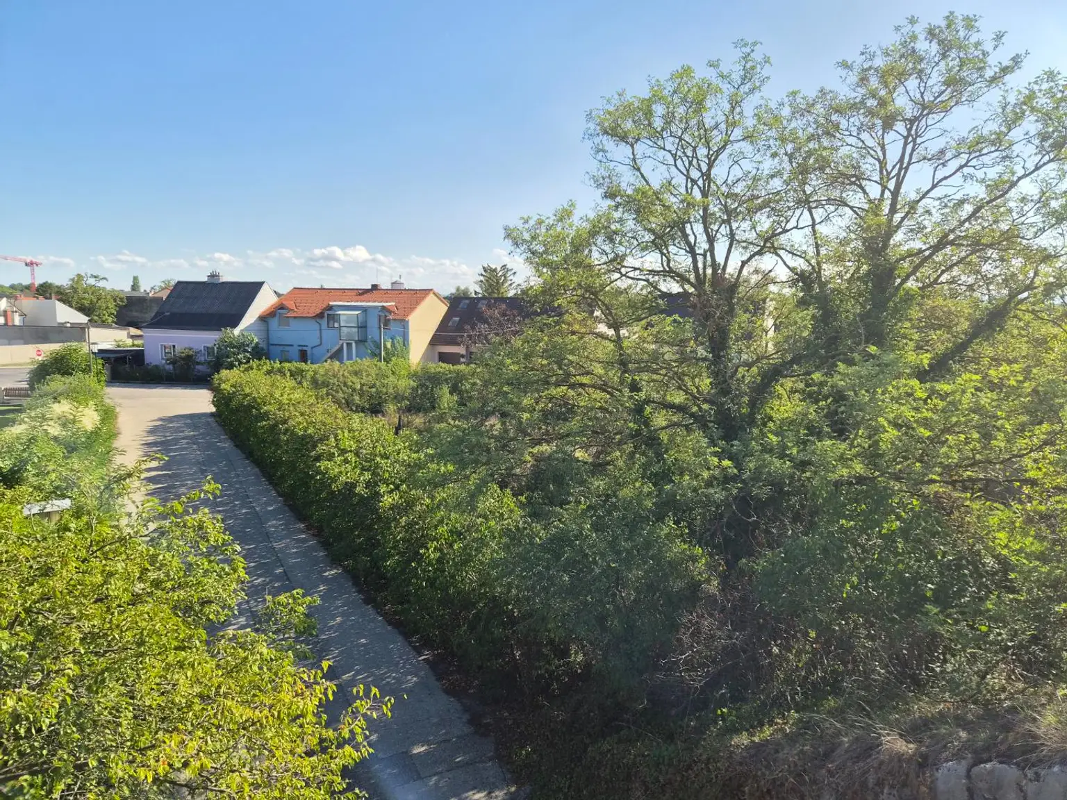 04.Blick aufs Grundstück