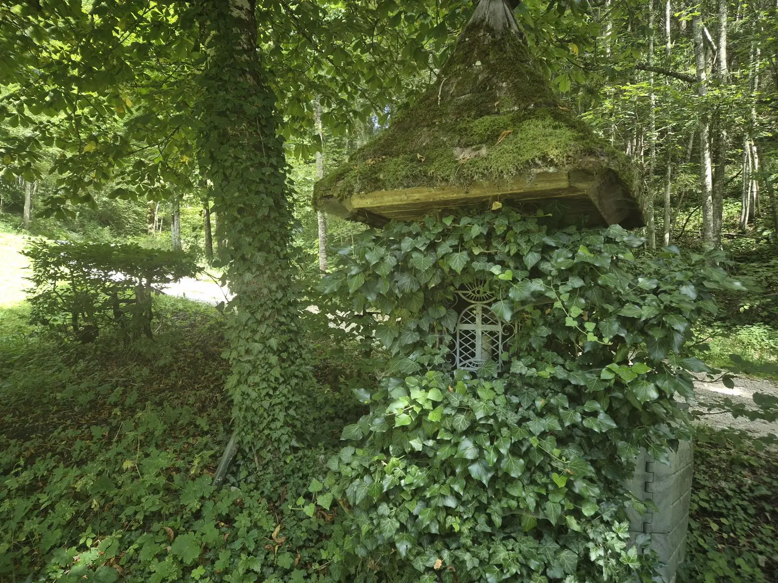 Charmantes Mehrparteienhaus in Lackenhof am Ötscher – Ihr alpines Ferienrefugium