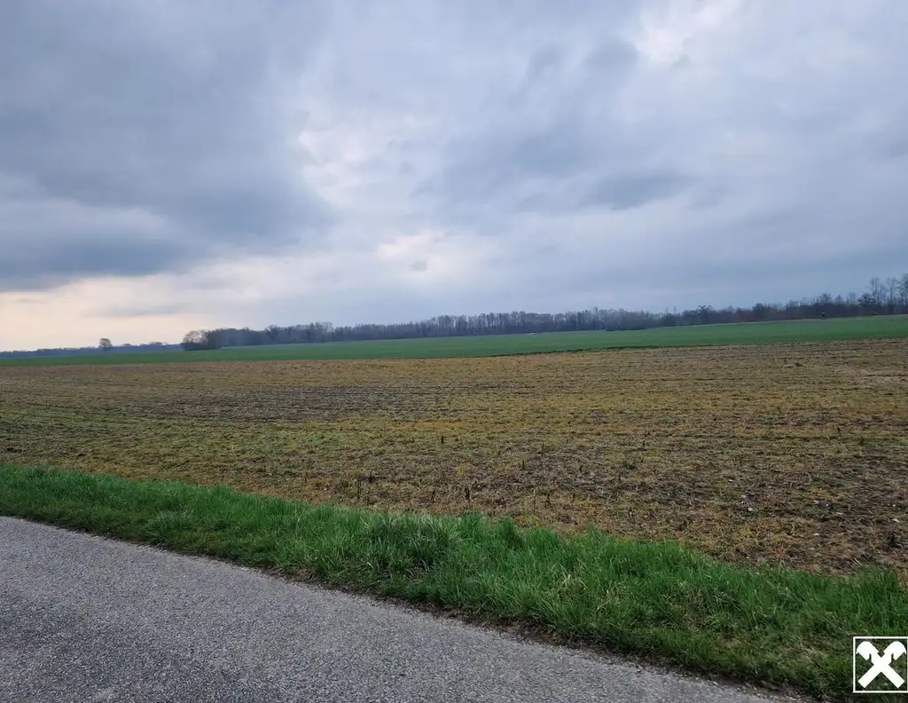 BAUEN UND WOHNEN DIREKT AN DEN DONAUAUEN MIT FREIEM, UNVERBAUTEM AUS- UND FERNBLICK DIREKT AN FELDER ANGRENZEND IN AUSGEZEICHNETER WOHNLAGE VON SEEBARN AM WAGRAM