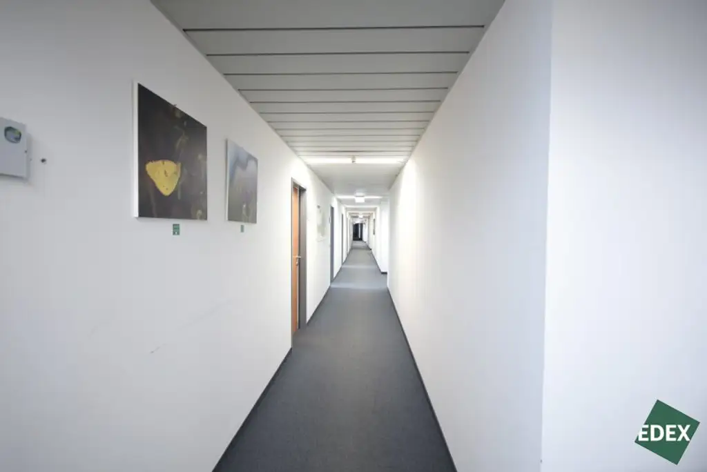 Hochwertige Bürofläche an der Brigittenauer Lände