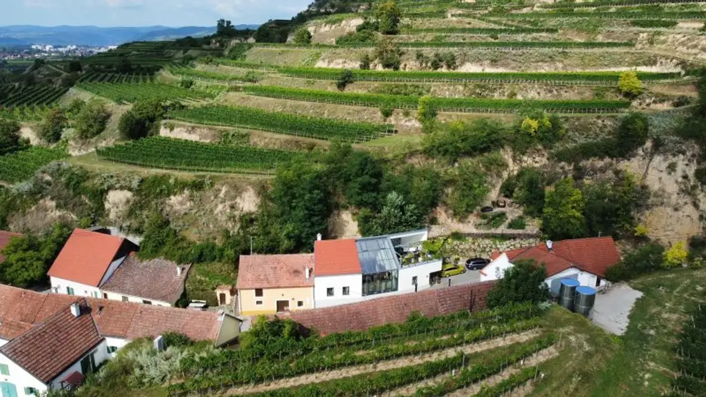 Einzigartige Liegenschaft in der Wachau | Ausgebautes Weinkeller-Loft mit WOW-Faktor
