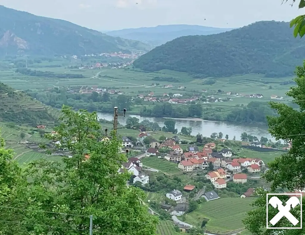 WEINGARTEN IN AUSSICHTSLAGE - WEINGARTEN, LANDWIRTSCHAFTLICHE FLÄCHEN - KEIN BAUGRUNDSTÜCK!