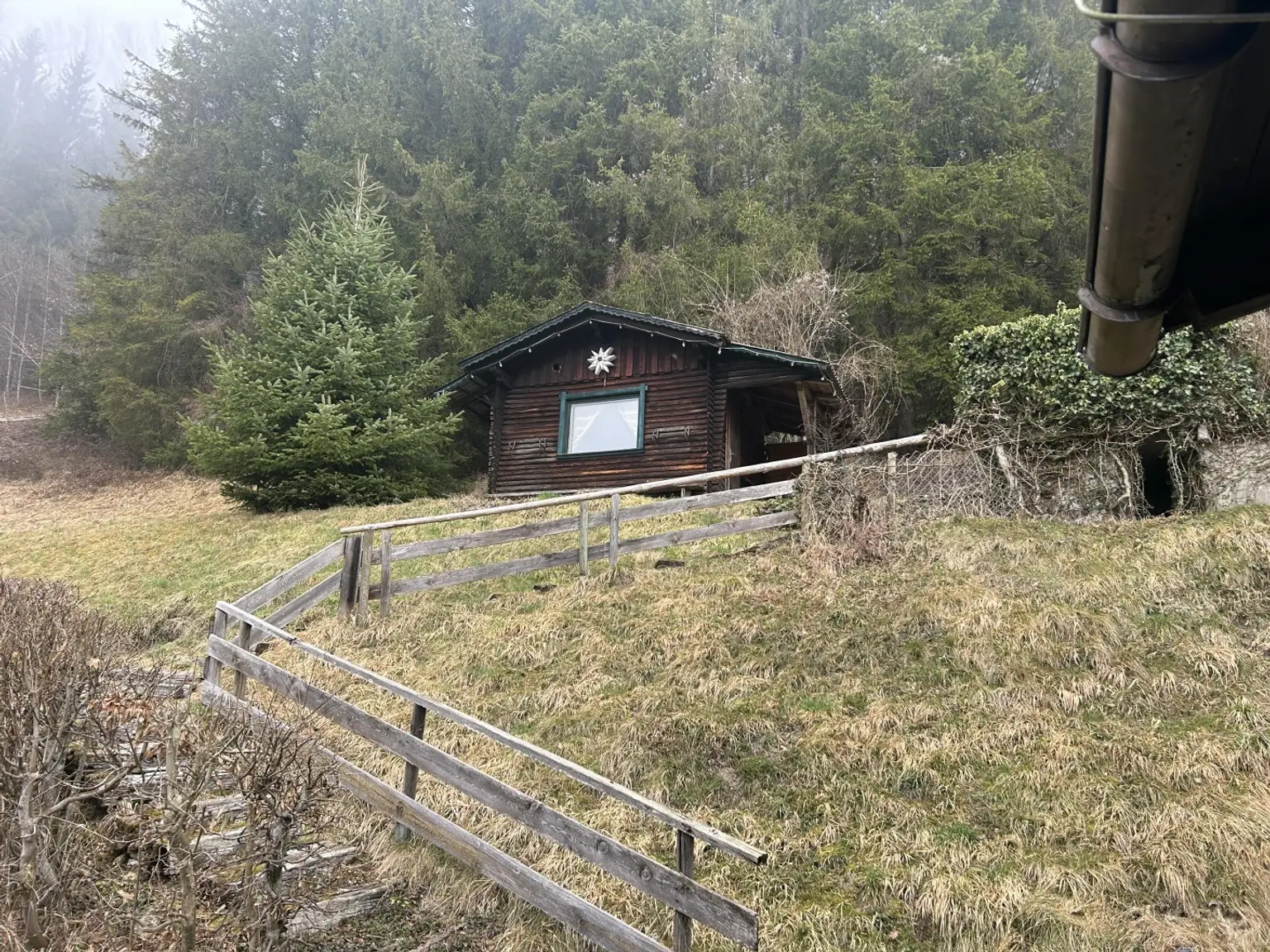 gleich dahinter die gemütliche Waldhütte