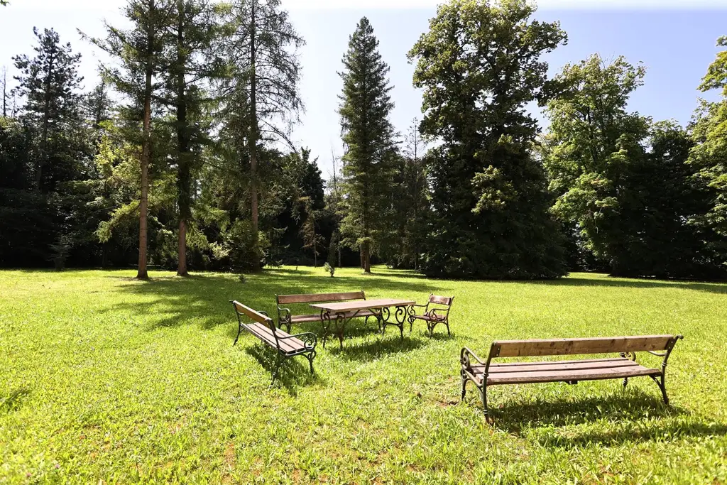 Herrschaftlich wohnen im Schloss Vogelsang!  Barrierefreie 2-Raum-Eigentumswohnung mit PKW-Abstellplatz
