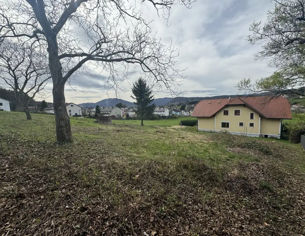 Großzügiges Grundstück in sonniger Hanglage von Graz-Andritz zu verkaufen!