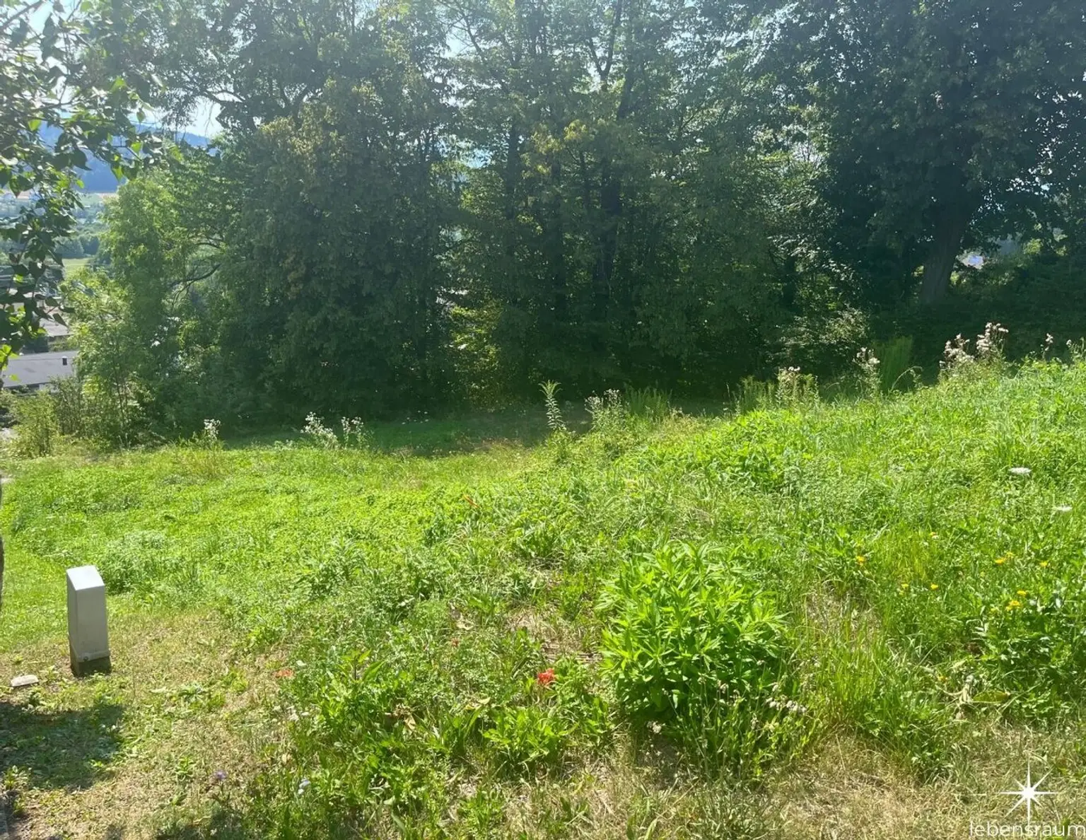 Baugrundstück in Wernberg-Goritschach. Mit Weitblick und viel Sonne.