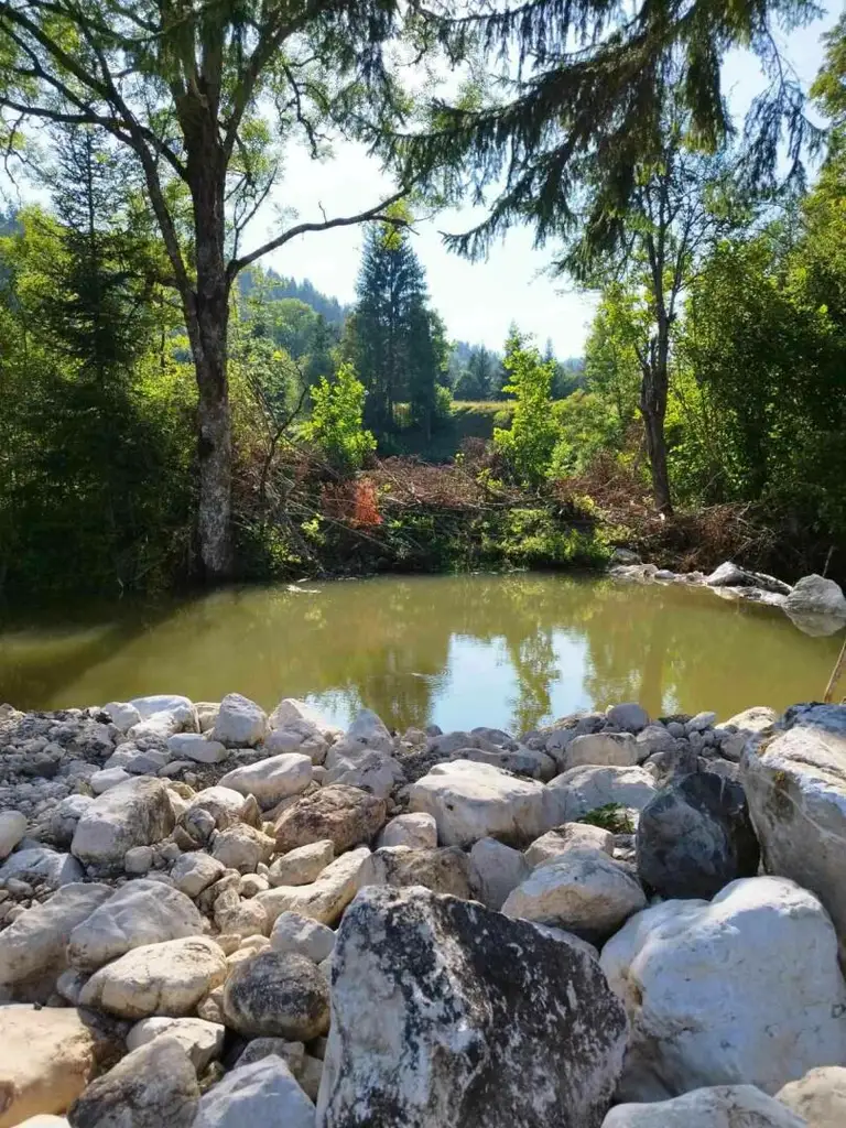 Bosnien: Auswanderer aufgepasst ! Traumhaft gelegene Ranch in Bosnien Herzegovina