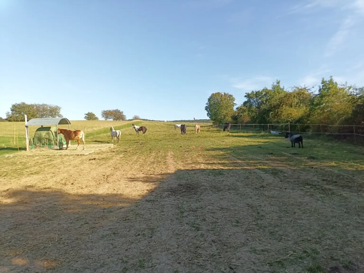Exklusiver Reiterhof & Historisches Herrenhaus