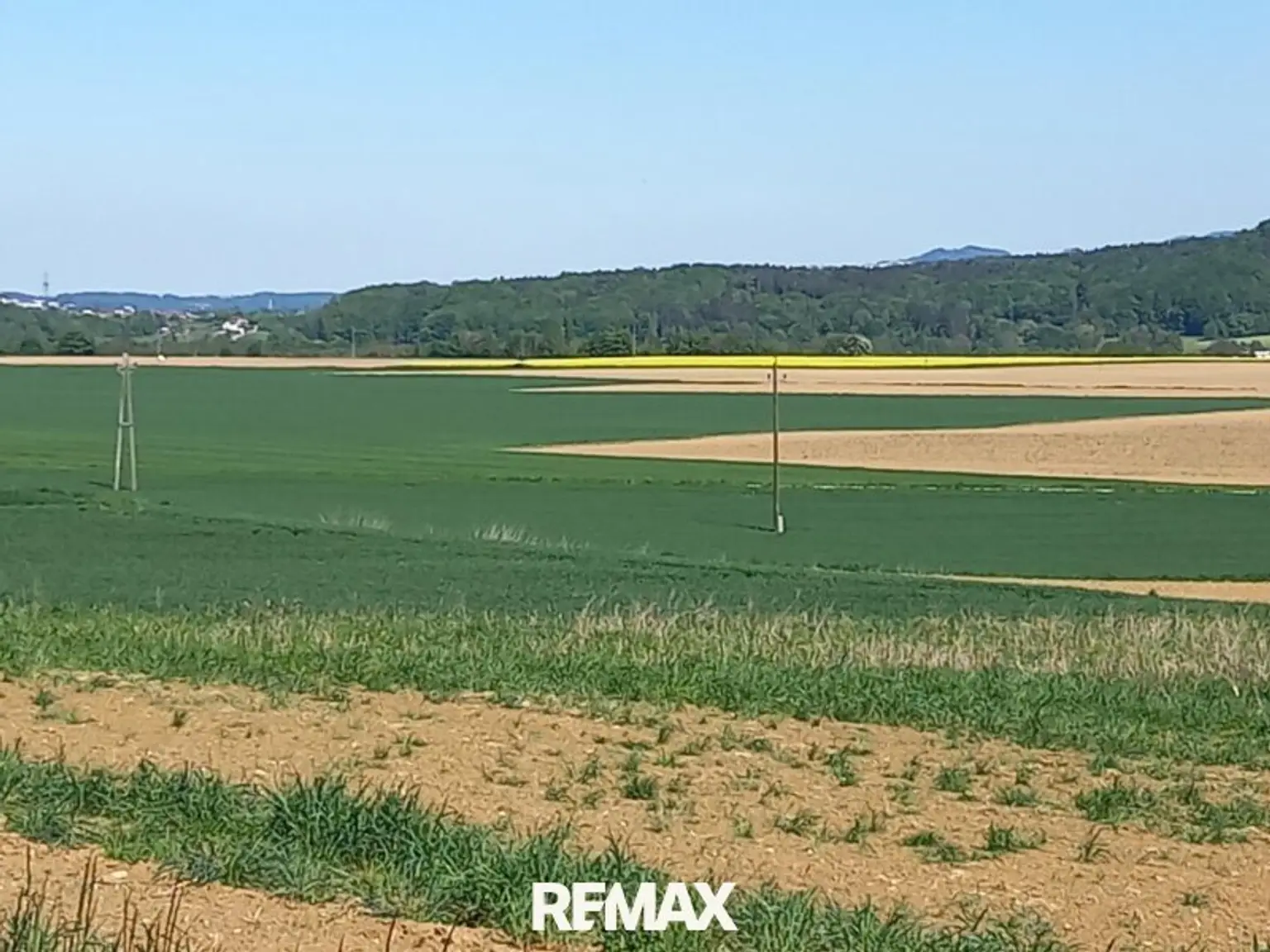 erste Reihe fußfrei